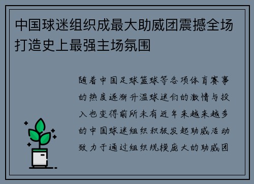 中国球迷组织成最大助威团震撼全场打造史上最强主场氛围
